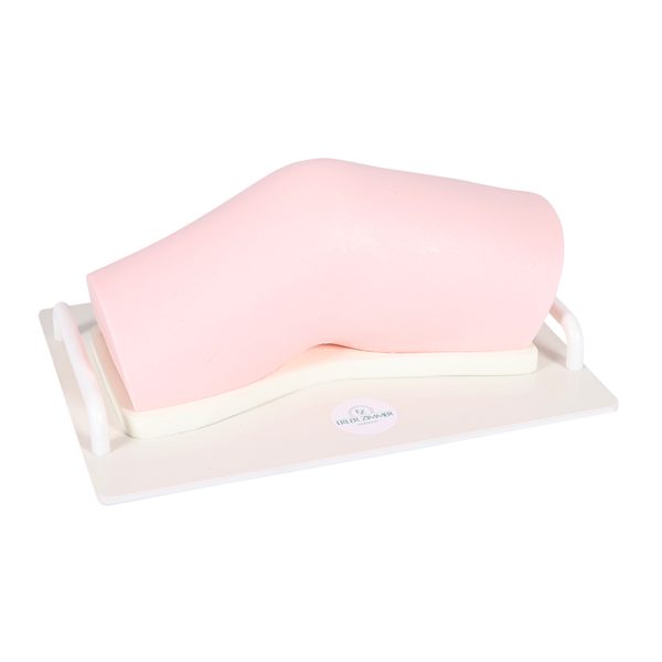 Knee (left) - SonoEZ Ultrasound Trainer