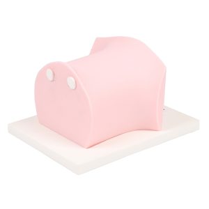 CVC - SonoEZ Pediatric Ultrasound Trainer