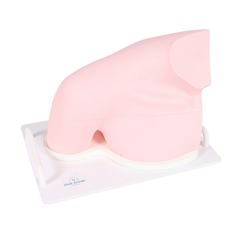 Model Shoulder - SonoEZ Ultrasound Trainer