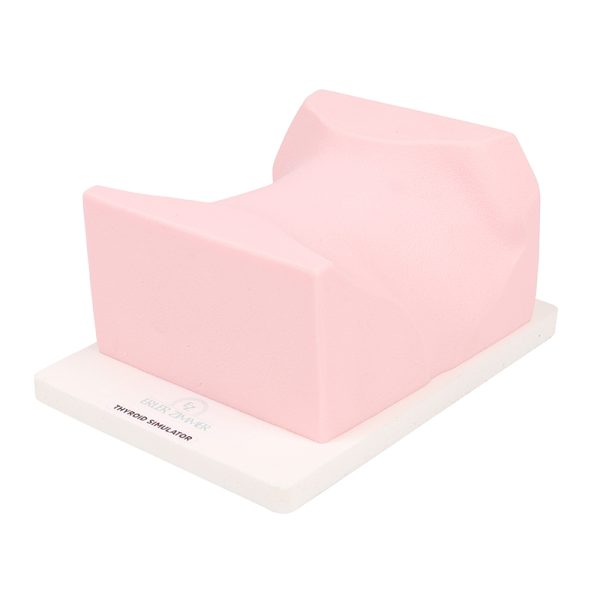 Thyroid - SonoEZ Ultrasound Trainer