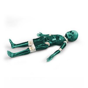 Child Full Body Imaging Phantom