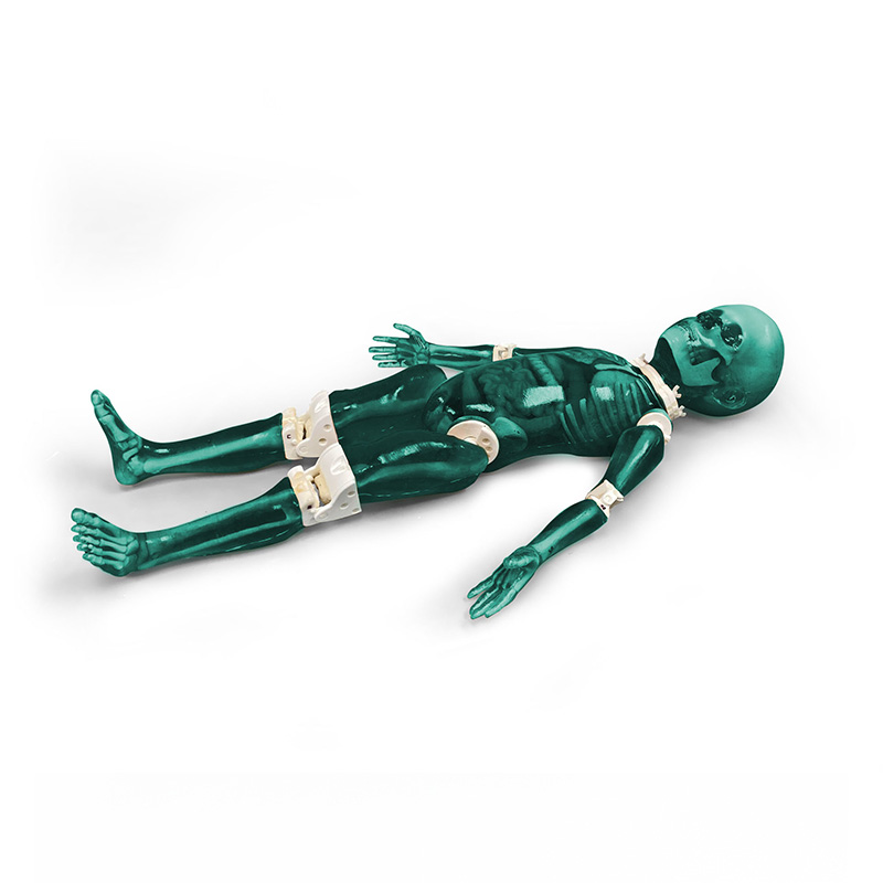 Child Full Body Imaging Phantom