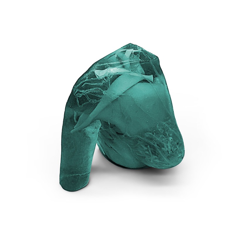 Adult Breast Imaging Phantom