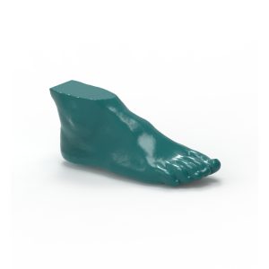 Foot Metatarsal Fractures Phantom – Nature Line CT