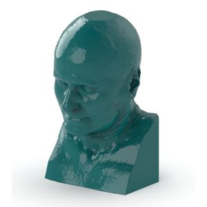 Head/Neck CTA Phantom - Nature Line