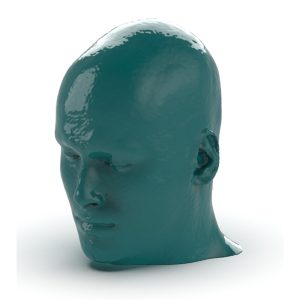 Head/Neck CTA AVM Phantom - Nature Line
