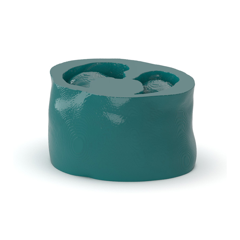 Abdomen Cirrhosis Phantom - Nature Line