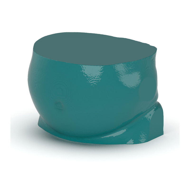 Abdomen Aortic Aneurysm Phantom - Nature Line