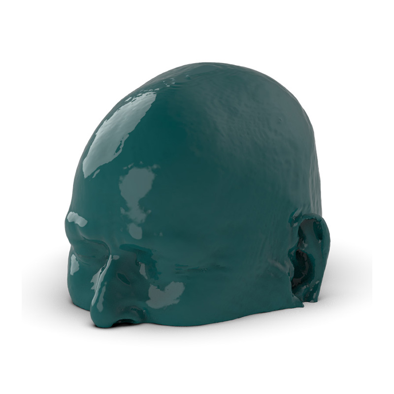 Head CTA Aneurysm Phantom - Nature Line