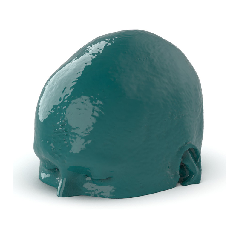 Head CTA AVM Phantom - Nature Line