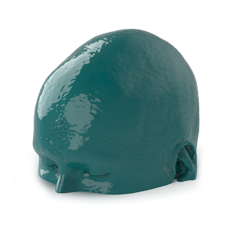 Head CTA AVM/lesion Phantom - Nature Line