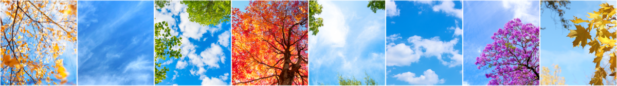 Virtual View® Skylights: The Science Behind Healing Environments