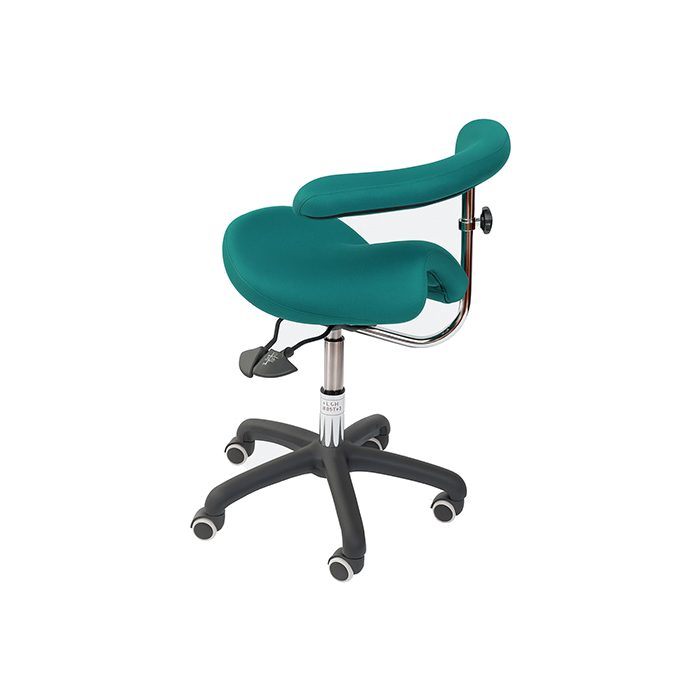 Bambach Executive noback swingarm nobackground