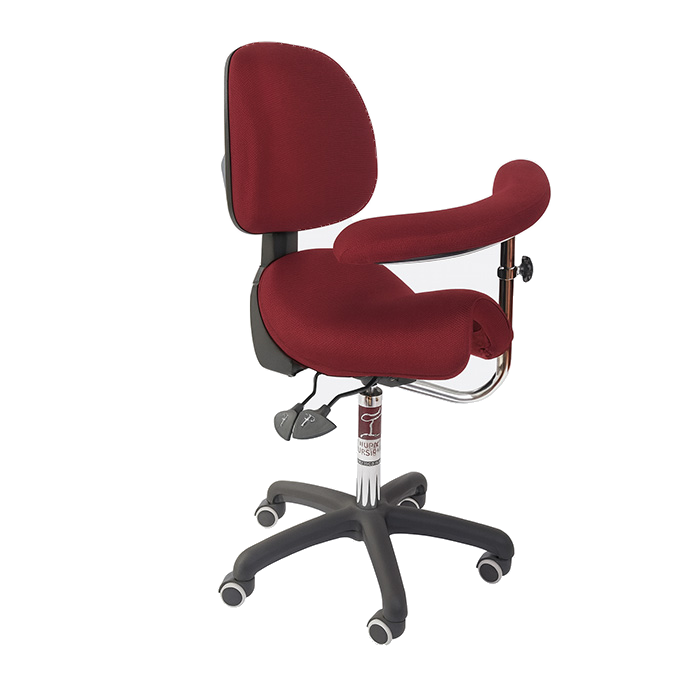 Bambach executive back swingarm nobackground