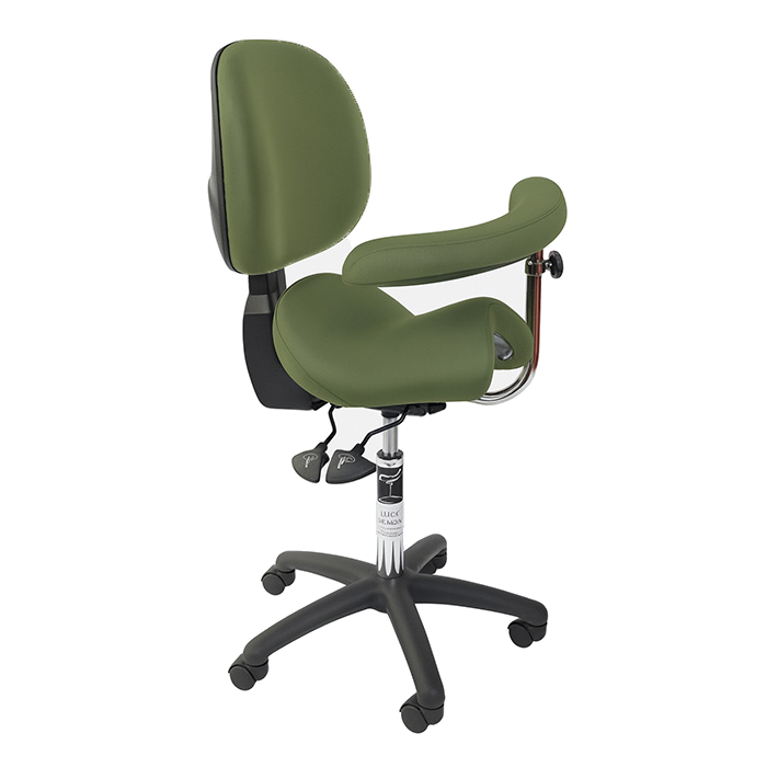 Bambach medium Withback Swingarm nobackground