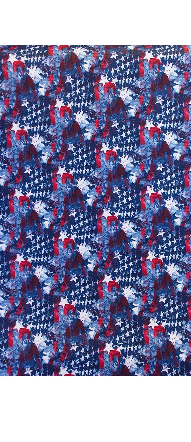Stars and Stripes