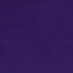 Nylon Purple