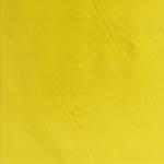 Nylon Yellow